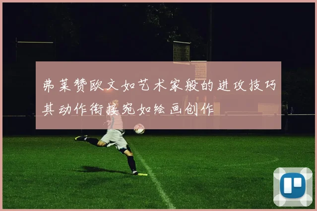 弗莱赞欧文如艺术家般的进攻技巧其动作衔接宛如绘画创作